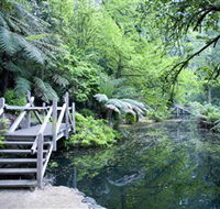 Alfred Nicholas Gardens - Attractions Perth