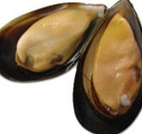 Sea Bounty - Attractions Perth
