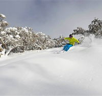 Mt Buller and Mt Stirling Alpine Resort - Attractions Perth