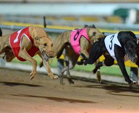 The Beckley Centre - Attractions Perth 0