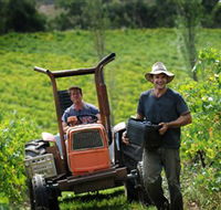 Kellybrook Winery  Kelly Brothers Cider - Attractions Perth