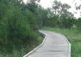 Shepherds Bush - Attractions Perth 0