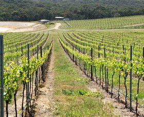 M Chapoutier Australia - Attractions Perth 0