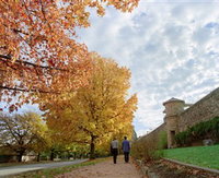 Beechworth Historic and Cultural Precinct