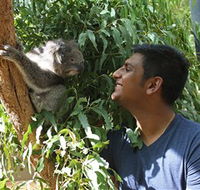 Healesville Sanctuary - Attractions Perth