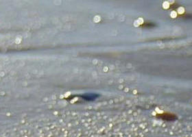 Cape Liptrap Coastal Park - Attractions Perth 0
