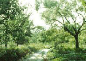 Holey Plains State Park - Attractions Perth 0