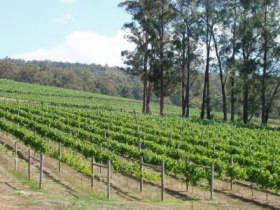Piedmont Vineyard - Attractions Perth 0