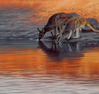 Steve Morvell Wildlife Art - Attractions Perth
