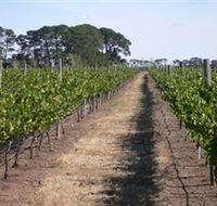 Mount Beckworth Wines - Attractions Perth