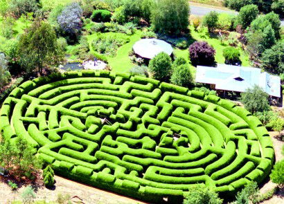 Wandiligong Maze - Attractions Perth 0