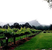 Cambewarra Estate Wines - Attractions Perth