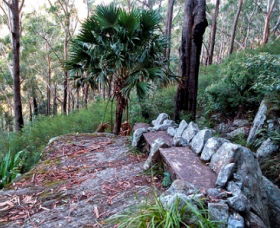 Wodi Wodi Walking Track - Attractions Perth 0