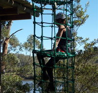Trees Adventure Shoalhaven - Attractions Perth