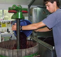 Fern Gully Winery - Attractions Perth