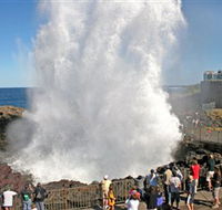 Kiama Blowhole - Attractions Perth