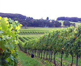 Exeter NSW Attractions Perth