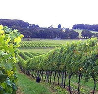 Banjo's Run Winery and Vineyard - Attractions Perth