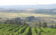 De Salis Wines - thumb 1