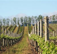 Philip Shaw Wines - Attractions Perth
