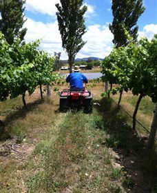 Heifer Station - Attractions Perth 2