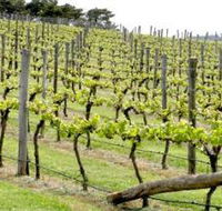 Bantry Grove - Attractions Perth