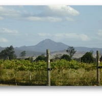 Ironbark Ridge Vineyard - Attractions Perth