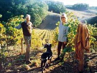 Book Lenswood Accommodation Vacations Attractions Perth Attractions Perth