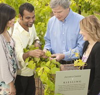 Jacob's Creek Vineyard Tour - Attractions Perth