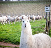 Gemtree Vineyards Cellar Door - Attractions Perth