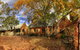 Rockford Wines - thumb 1