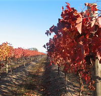 Kooyonga Creek Wines - Attractions Perth