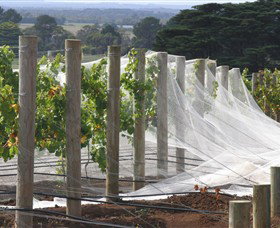 Paradigm Hill - Attractions Perth 1