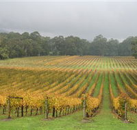 Boat O'Craigo Wines - Attractions Perth