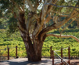 Upper Reach Winery And Cellar Door - Attractions Perth 1