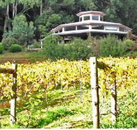 Peveril Vineyard/Beechy Berries - Attractions Perth