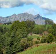 Lake Barrington Vineyard - Attractions Perth