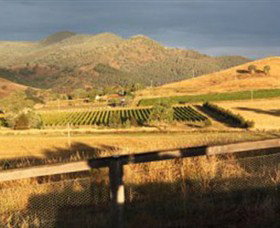 Optimiste Wines - Attractions Perth 0