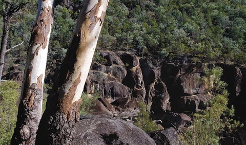 Macintyre Falls Lookout - Attractions Perth 3
