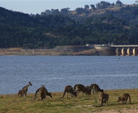 Inland Waters Holiday Parks Wyangala Waters - Attractions Perth 3