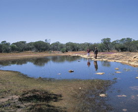 Camel Soak - Attractions Perth 0