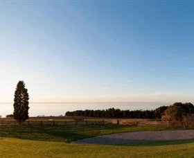 Jack Rabbit Vineyard - Attractions Perth 3