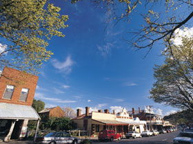 Drysdale Cheeses - Attractions Perth 1