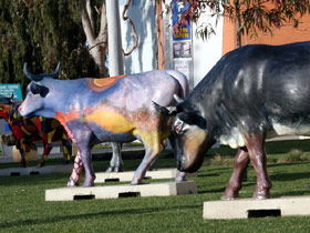 Drysdale Cheeses - Attractions Perth 6