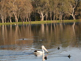 Drysdale Cheeses - Attractions Perth 7