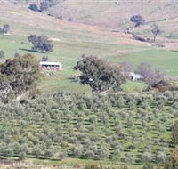 Wymah Organic Olives and Lambs - Attractions Perth