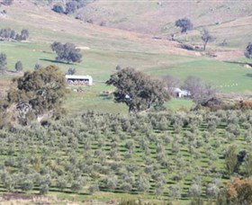 Wymah Organic Olives And Lambs - Attractions Perth 0