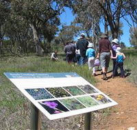 South Gundagai Woodlands Walk - Attractions Perth