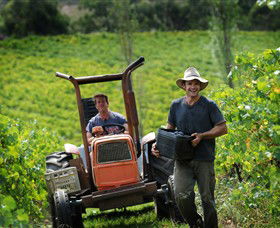 Kellybrook Winery, Kelly Brothers Cider & Riders Brew Co. - Attractions Perth 0