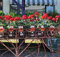 Van Loon's Nursery - Attractions Perth